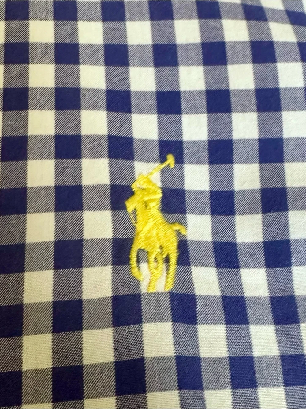 Ralph Lauren Blue and White Gingham Kids Button-Down Shirt